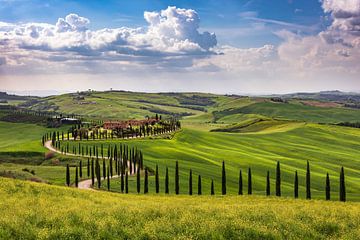 Spring in Tuscany by Michael Valjak