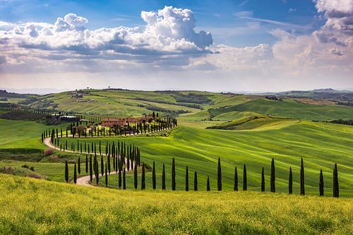 Spring in Tuscany