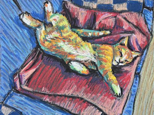 Chat paresseux sur le canapé