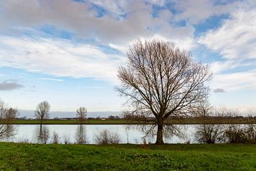 Walking on the waterfront by Lieke van Grinsven van Aarle