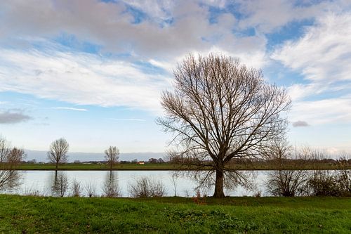 Wandelen aan de waterkant