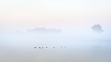 Mist van Pieter Poot