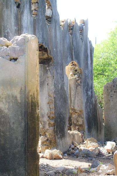 Ruïne in Christoffelpark Curacao van rene marcel originals