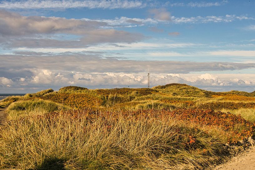 Blåvand duinlandschap in Denemarken aan de Noordzee van Martin Köbsch