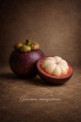 Mangosteen in Klassiek Stilleven