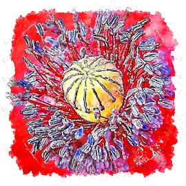 In der Mohnblume (Aquarell) von Art by Jeronimo