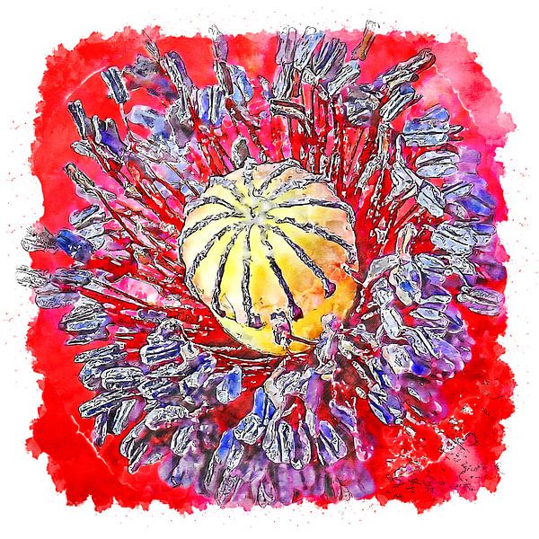 In der Mohnblume (Aquarell) von Art by Jeronimo