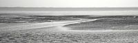 Wadden Sea