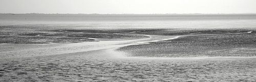 Wattenmeer