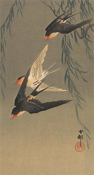 Three red-rumped swallows in dive flight from Ohara Koson