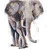 Print van een olifant, bijzondere dieren illustratie van Angela Peters