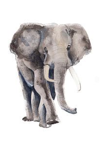 Print van een olifant, bijzondere dieren illustratie van Angela Peters
