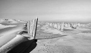 Zwart wit Duinen Maasvlakte Rotterdam