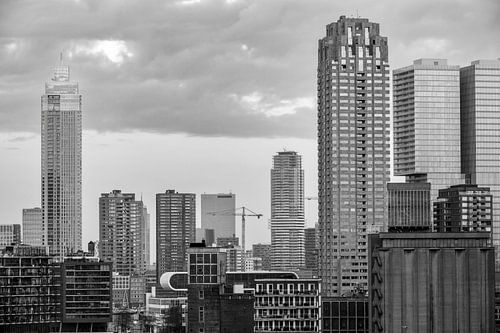 Rotterdam skyline tijdens zonsopgang in zwart-wit