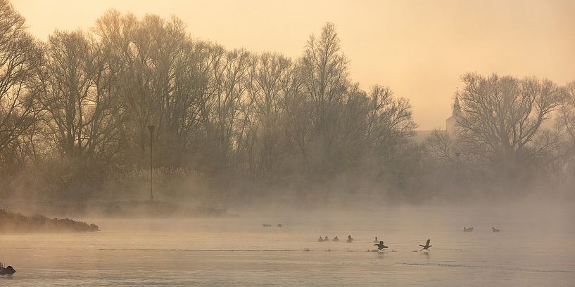 IJssel near Wilsum in fog by Evert Jan Kip
