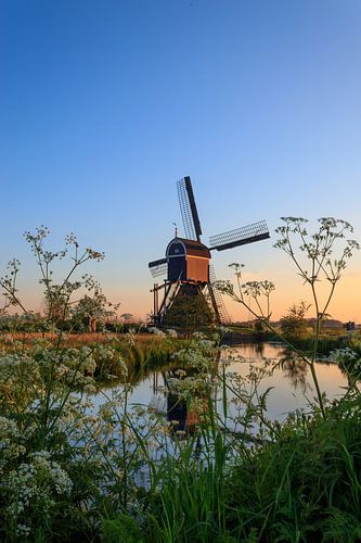 Le moulin à pantalon vu de l'autre côté juste après le lever du soleil.