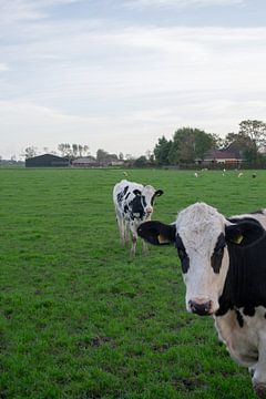 Sisters by Tanja Jong