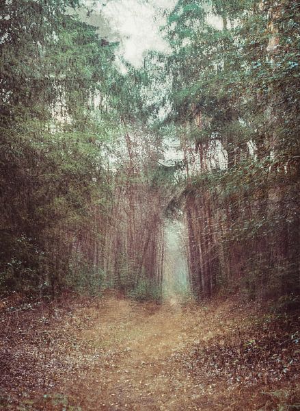 the Ginkel part 2 by Tania Perneel