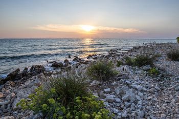 Landschaft mit  Sonnenuntergang am Steinstrand und Pinienwald. Vir, Dalmazien, Kroatien