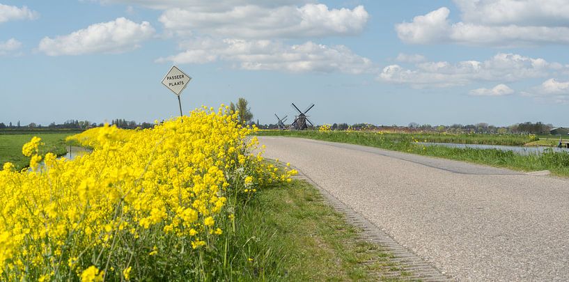 Passeerplaats in Groot-Ammers. von Kees van der Rest