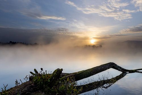 Mystieke ochtendsfeer aan het meer