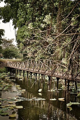 An old footbridge by a peaceful pond