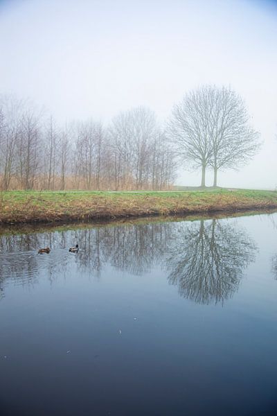 Mistig landschap van Saskia S