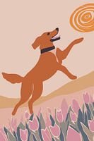 Frisbee-Hund
