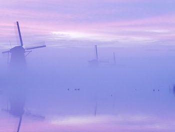 Fog in Kinderdijk