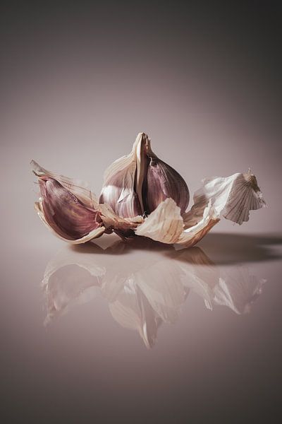 Garlic by Sabrina Krijgsman Fotografie