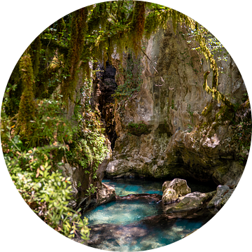 Natuurlijke bron van rust van Zahra Bierman