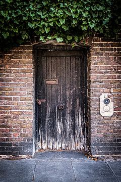 Vieille porte de jardin usée par les intempéries et couverte de lierre vert à Londres | Photographie