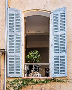 French window with louvre shutters