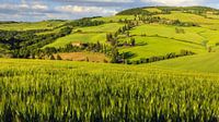 Monticchiello, Val d'Orcia, Tuscany, Italy by Henk Meijer Photography thumbnail