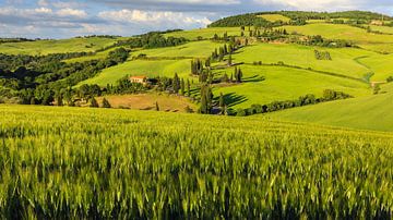 Monticchiello, Val d'Orcia, Toscane, Italië