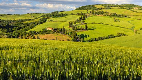 Monticchiello, Val d'Orcia, Toscane, Italië