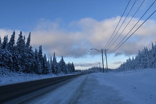 Eine Landstraße im Winter