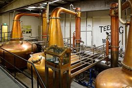 Alison, Natalie & Rebecca