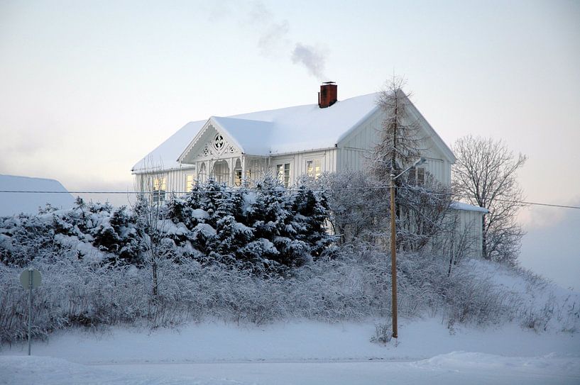 Zweedse witte winter van Barbara Koppe