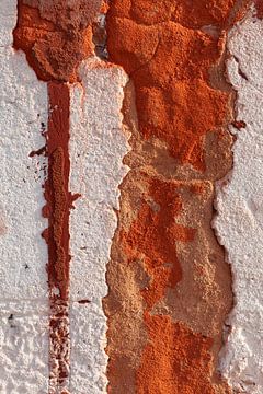 Abstracte fotografie: steenrode muur met veel textuur van Danielle Roeleveld