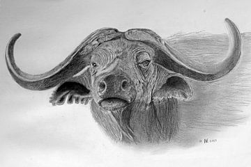 Buffel van Henks Art