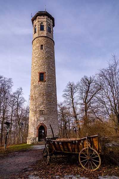 Frühlingshafte Wanderung entlang der Ilm bei Bad Berka bei herrlichen Sonnenschein - Thüringen - Deutschland von Oliver Hlavaty