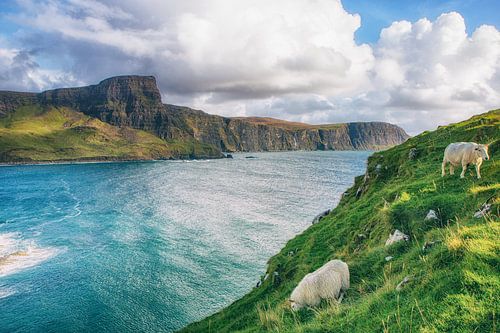 De prachtige natuur in Schotland. Eenzame kliffen in het panorama