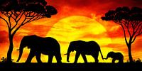 Afrikaanse olifanten, mama, papa en kind in de zonsondergang