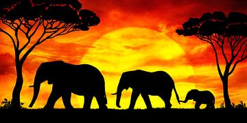 African Elephants Mum Dad and Child in the Sunset by Creavasis