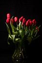 Ein Strauß roter Tulpen von As Janson Miniaturansicht