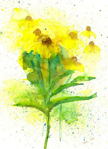 Zonnehoed Bloemen Aquarel Schilderij