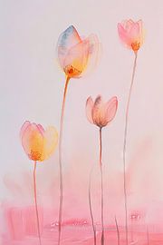 Spring flowers Flowers