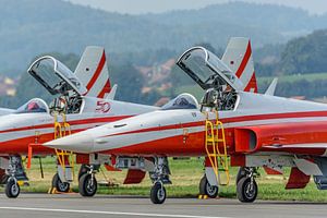 Die Flugzeuge der Patrouille de Suisse sind bereit zur Vorführung.