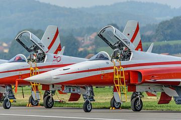 Vliegtuigen van Patrouille de Suisse klaar voor demo. van Jaap van den Berg